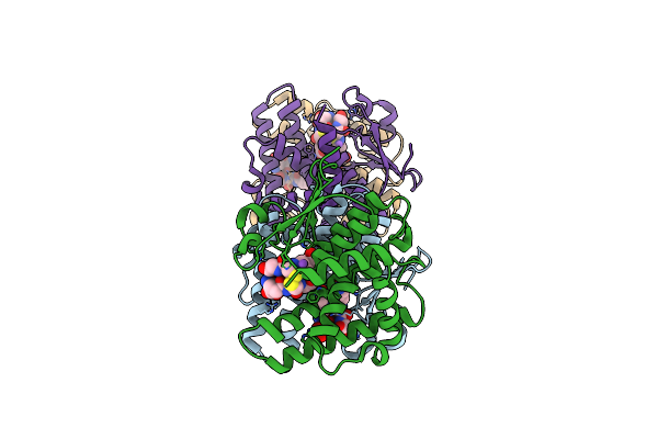 4ZB6 image