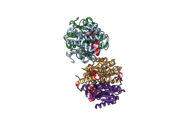 4ZBB image