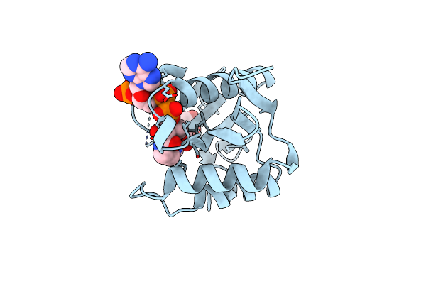 4ZBG image