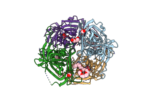 4ZBT image