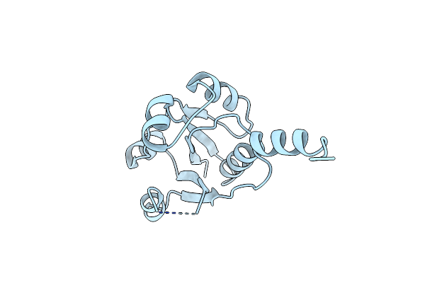 4ZCT image