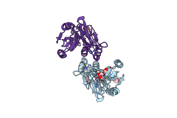 4ZD5 image