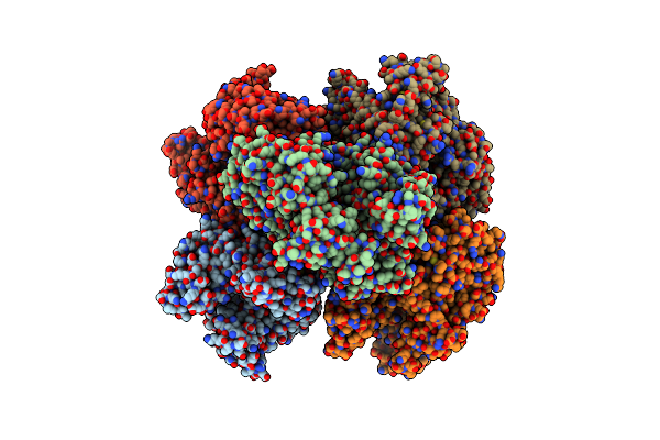 4ZDA image