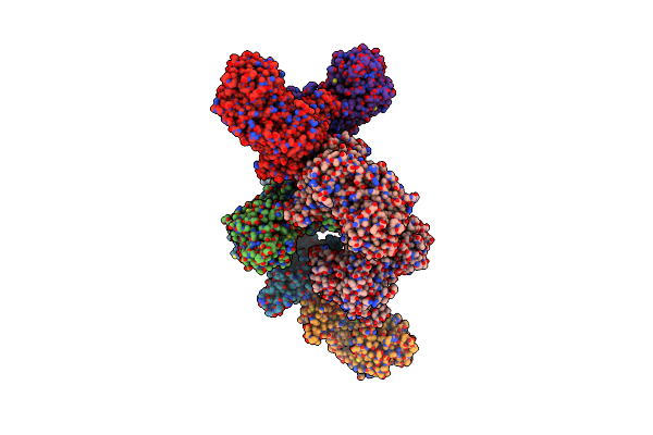 4ZDI image