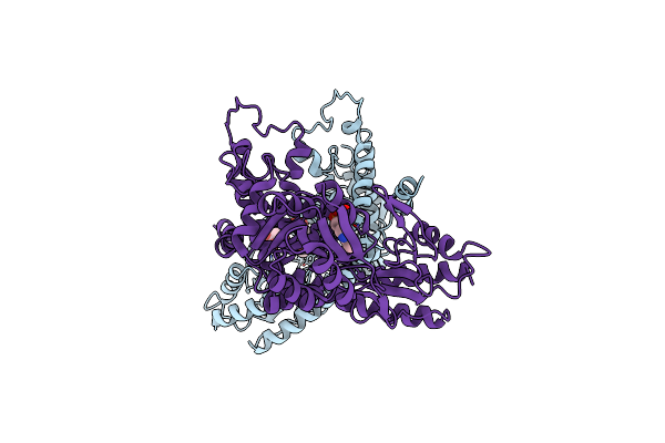 4ZDL image