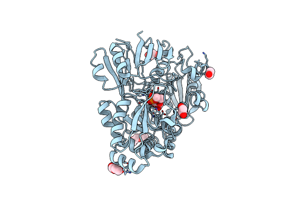 4ZEK image