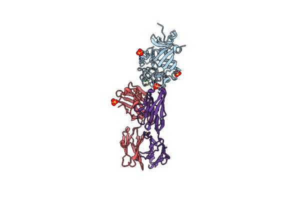 4ZFG image