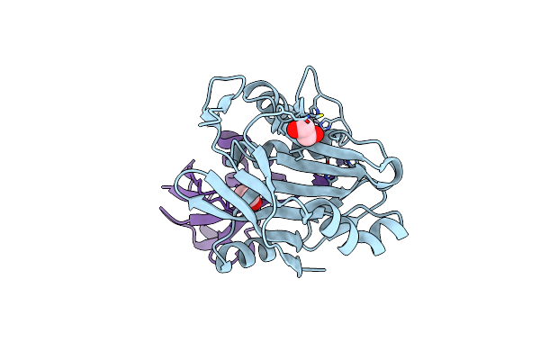 4ZFR image