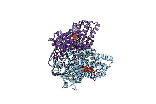 4ZFV image