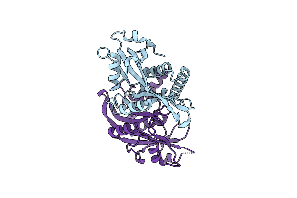 4ZG0 image
