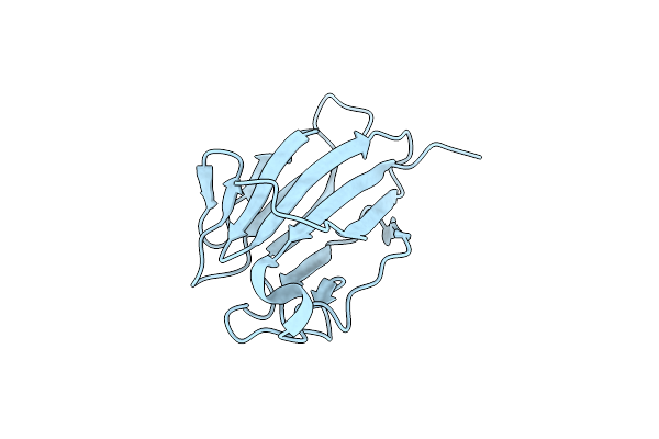 4ZGI image
