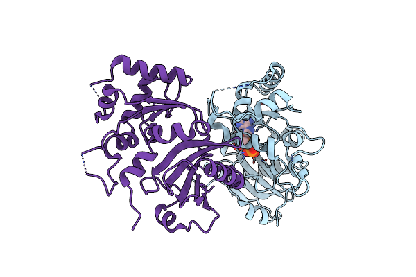 4ZGP image
