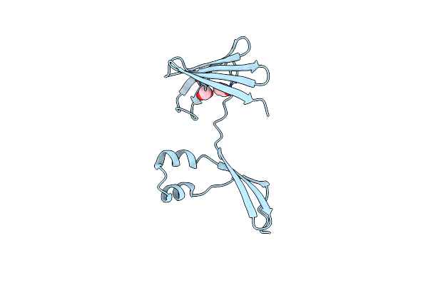 4ZH6 image