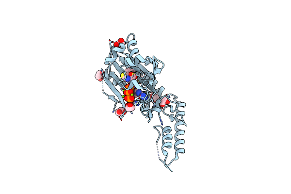 4ZIB image