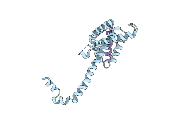 4ZIG image