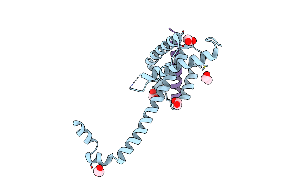 4ZII image