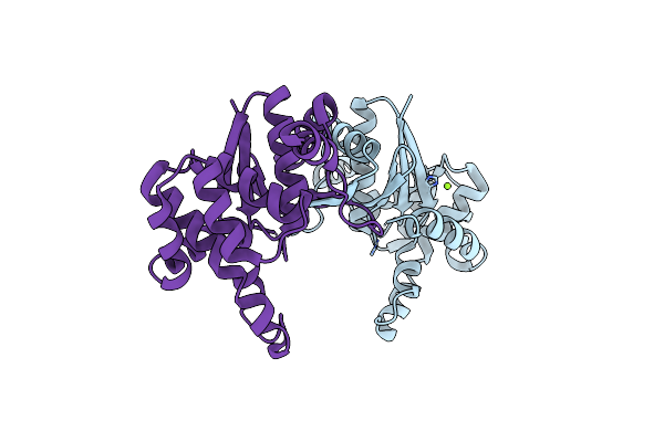 4ZIL image