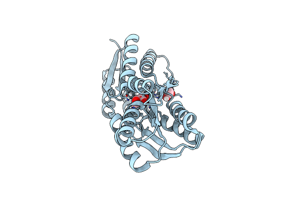 4ZJP image