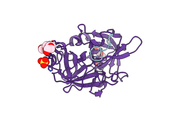 4ZKN image