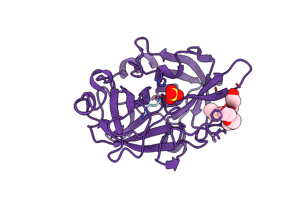 4ZKR image