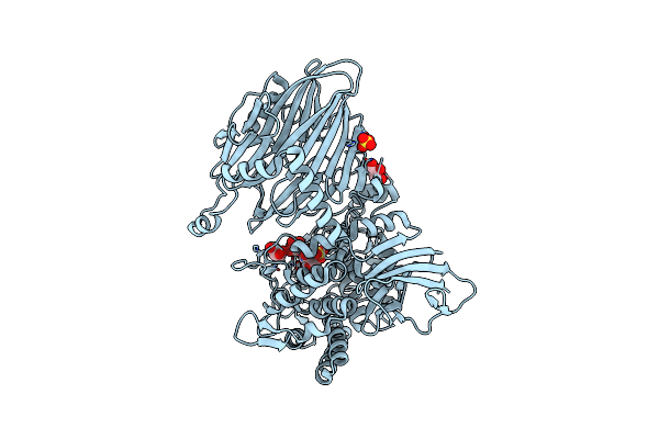 4ZLG image