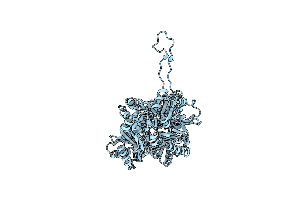 4ZLN image