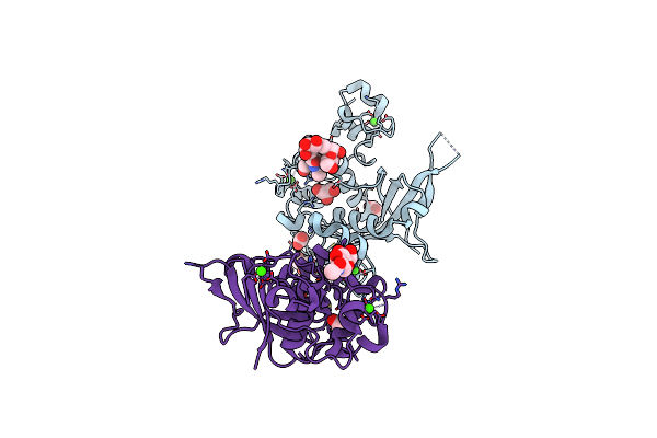 4ZLP image