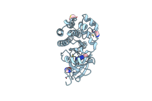 4ZLY image