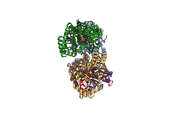 4ZM3 image