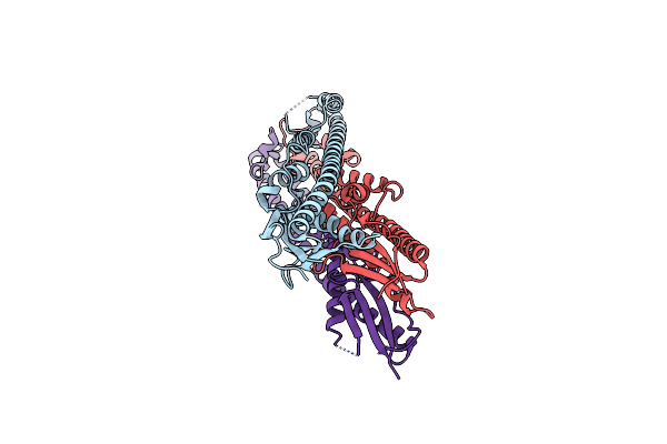 4ZM5 image