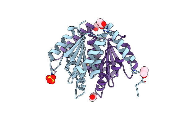 4ZMB image