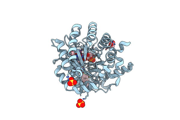 4ZMG image
