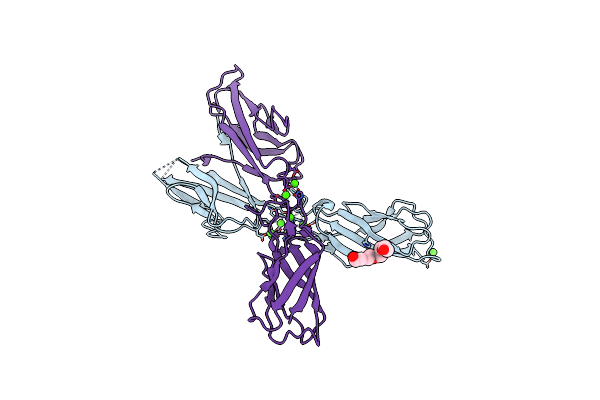 4ZMQ image