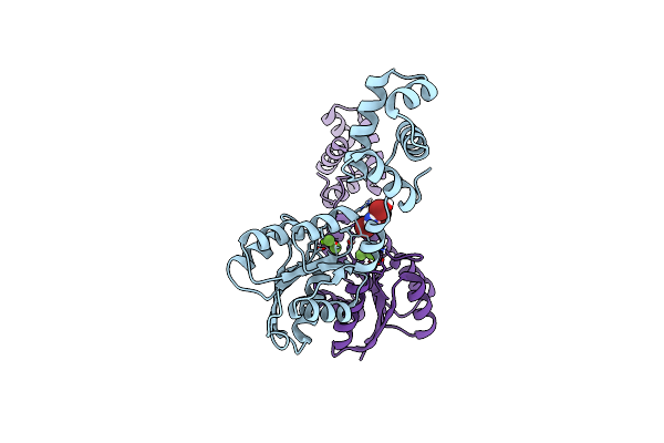 4ZMS image
