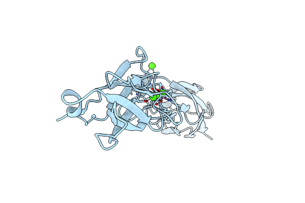4ZMZ image