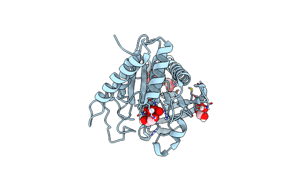 4ZN5 image