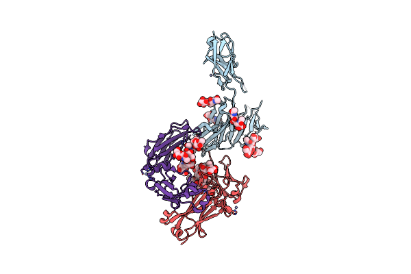 4ZNE image