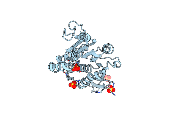 4ZNK image