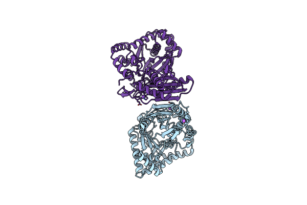 4ZNM image