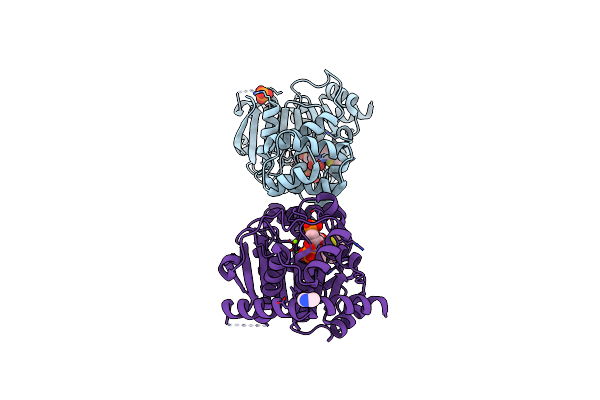 4ZOJ image