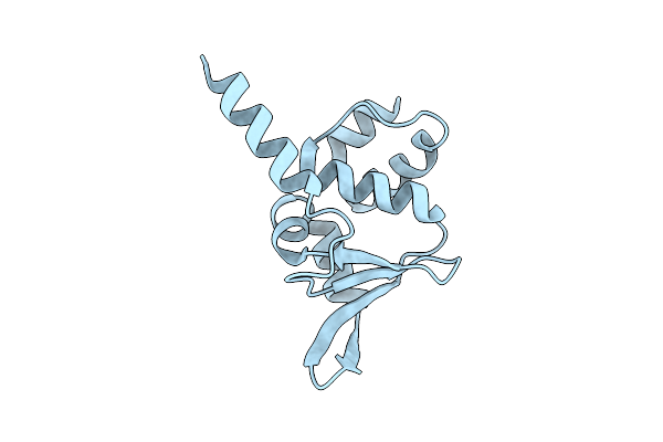 4ZOU image