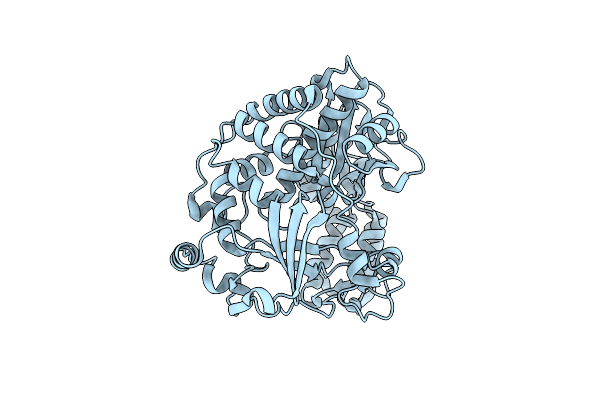 4ZPC image