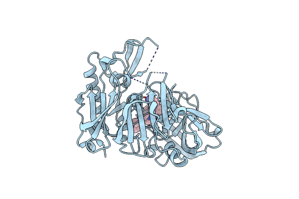 4ZPF image