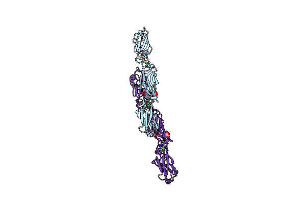 4ZPM image
