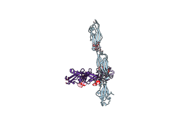 4ZPN image