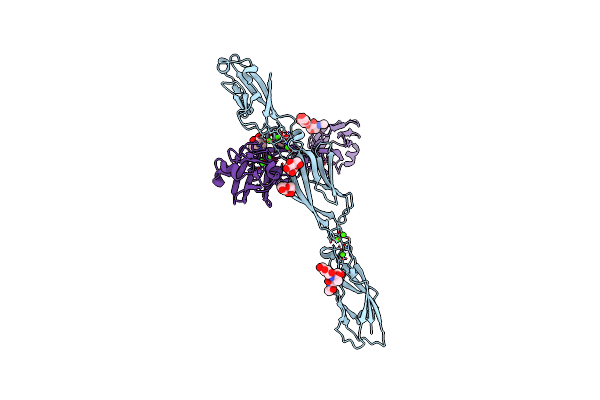 4ZPP image
