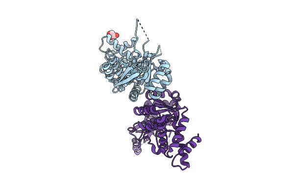 4ZPX image