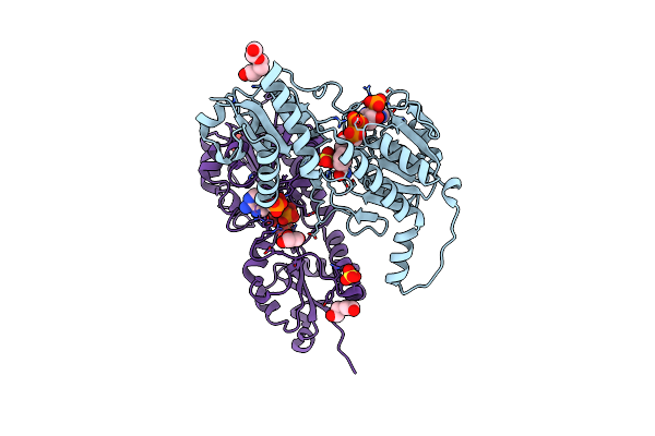 4ZQB image