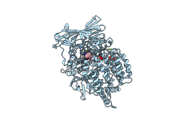 4ZQT image