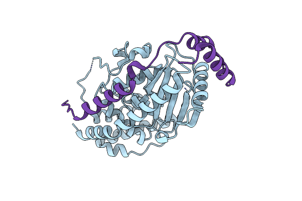 4ZRL image